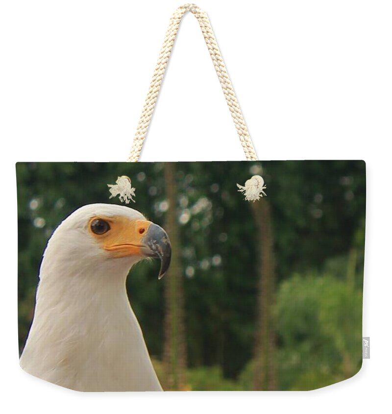 Majestic American Bald Eagle Eagle - Weekender Tote Bag