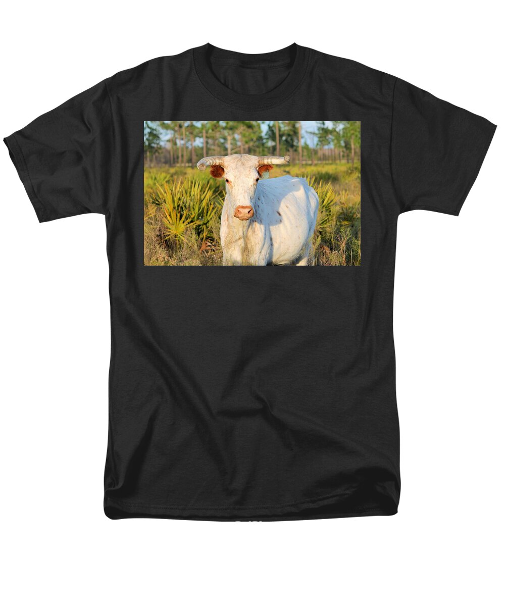 Majestic Horned White Bull near Orlando Florida Regular Fit Men's T-Shirt