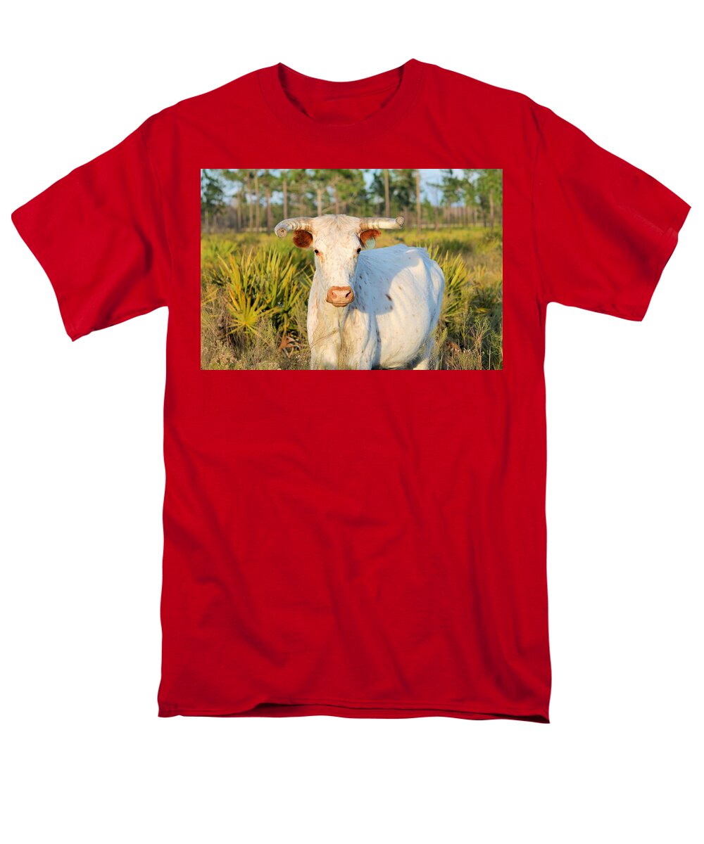 Majestic Horned White Bull near Orlando Florida Regular Fit Men's T-Shirt