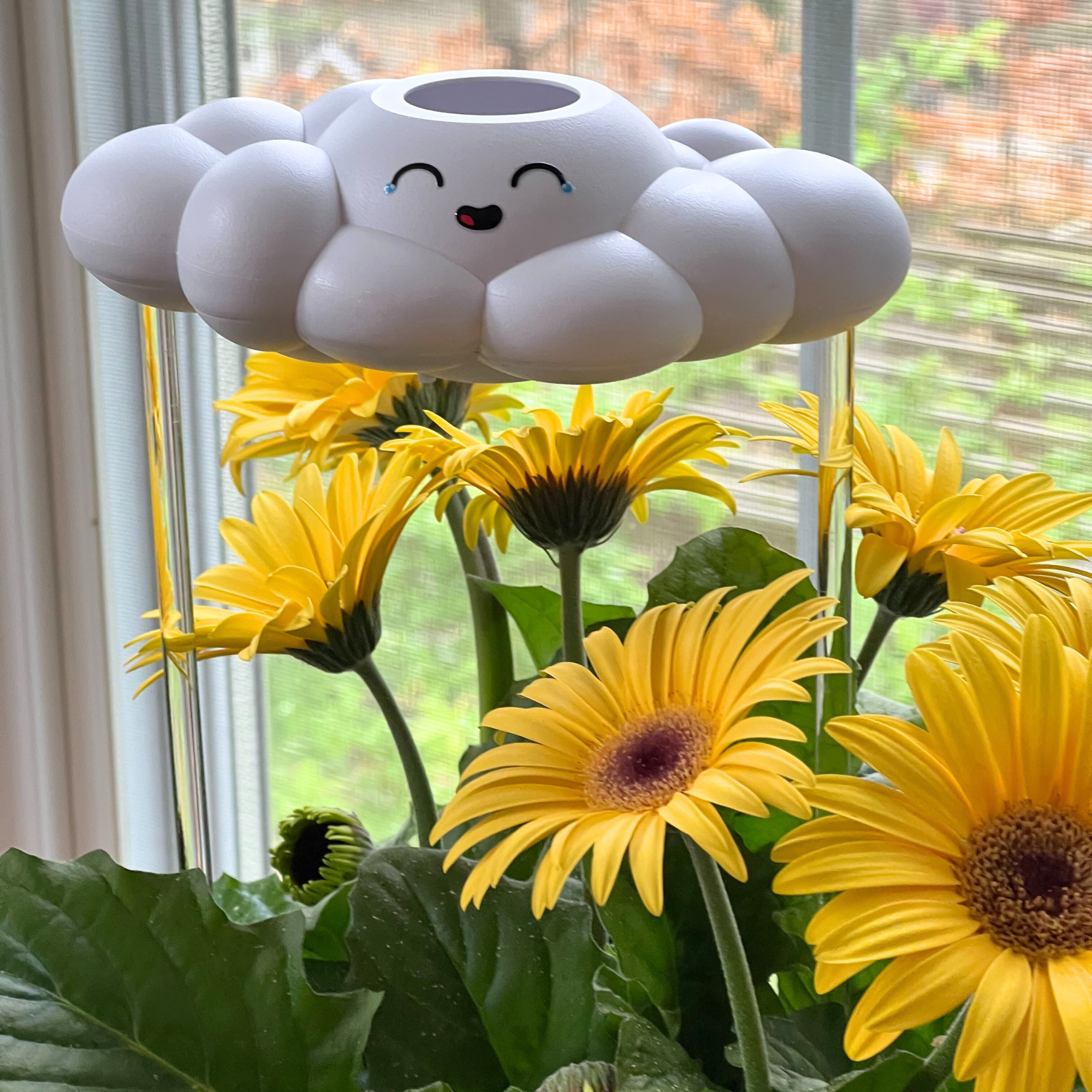 Misty the Cloud