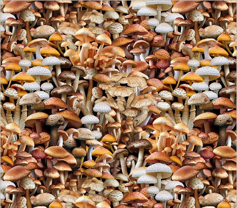Mushroom Greta Dress