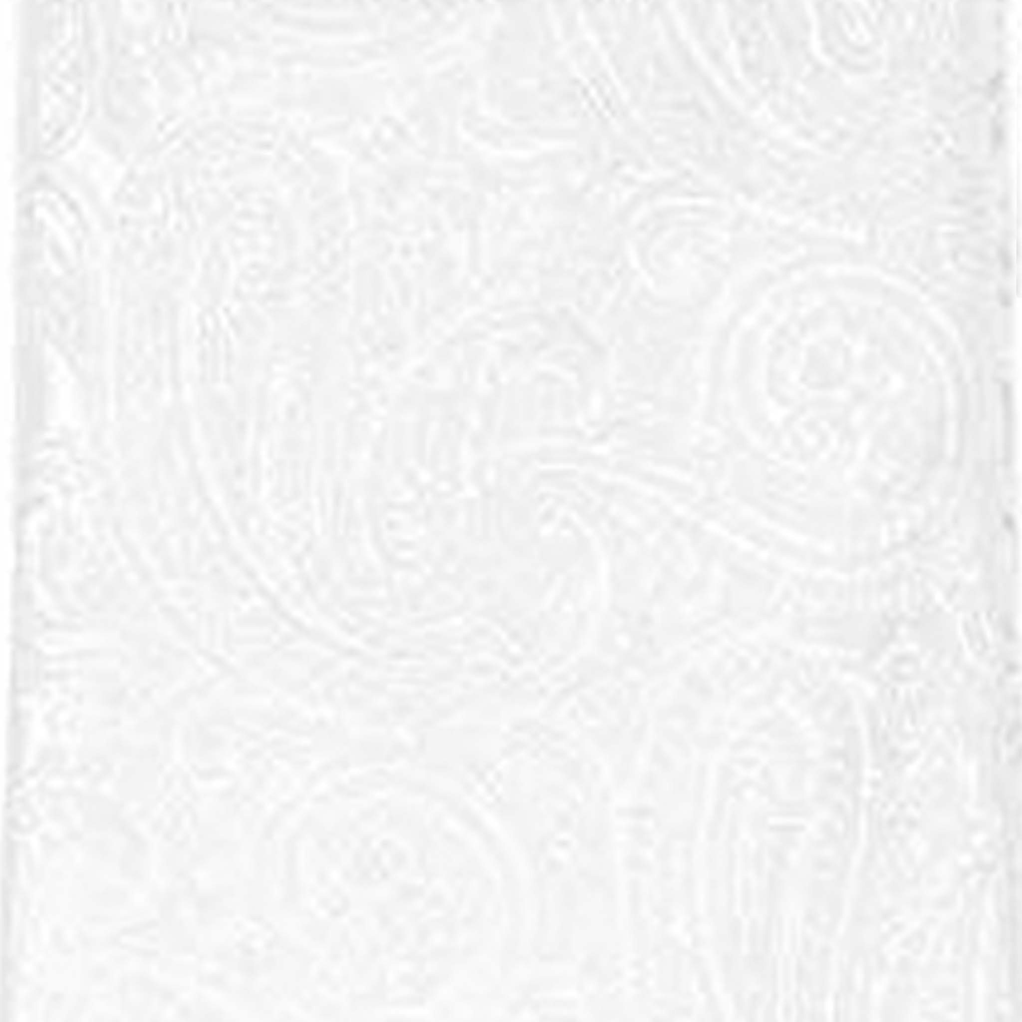 Vittorio Farina Men's Paisley Design Necktie & Pocket Square