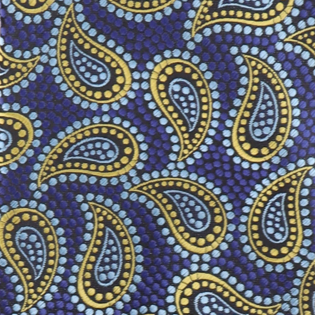 Vittorio Farina Men's Paisley Design Necktie & Pocket Square