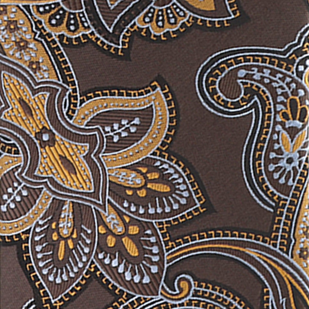 Vittorio Farina Men's Paisley Design Necktie & Pocket Square