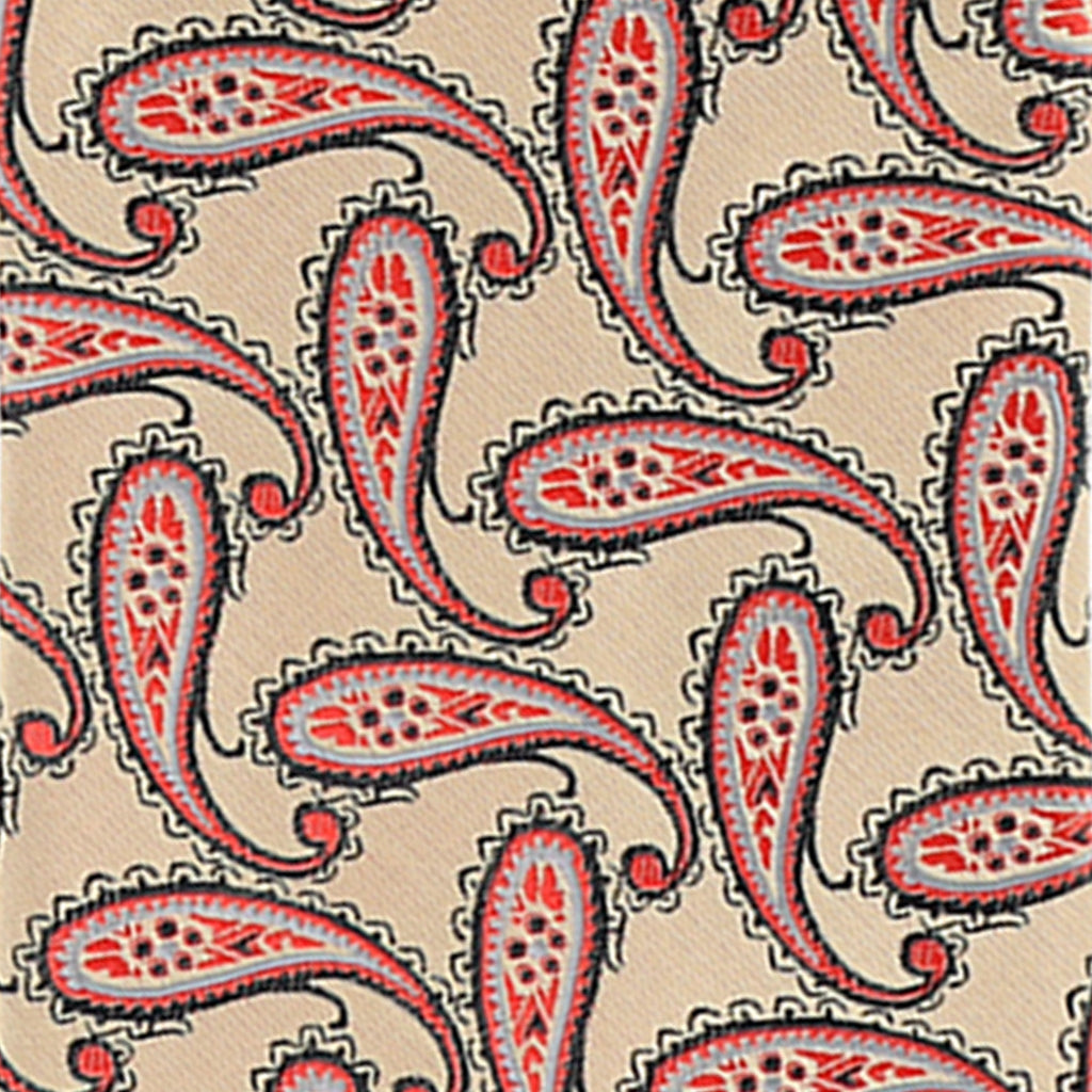 Vittorio Farina Men's Paisley Design Necktie & Pocket Square