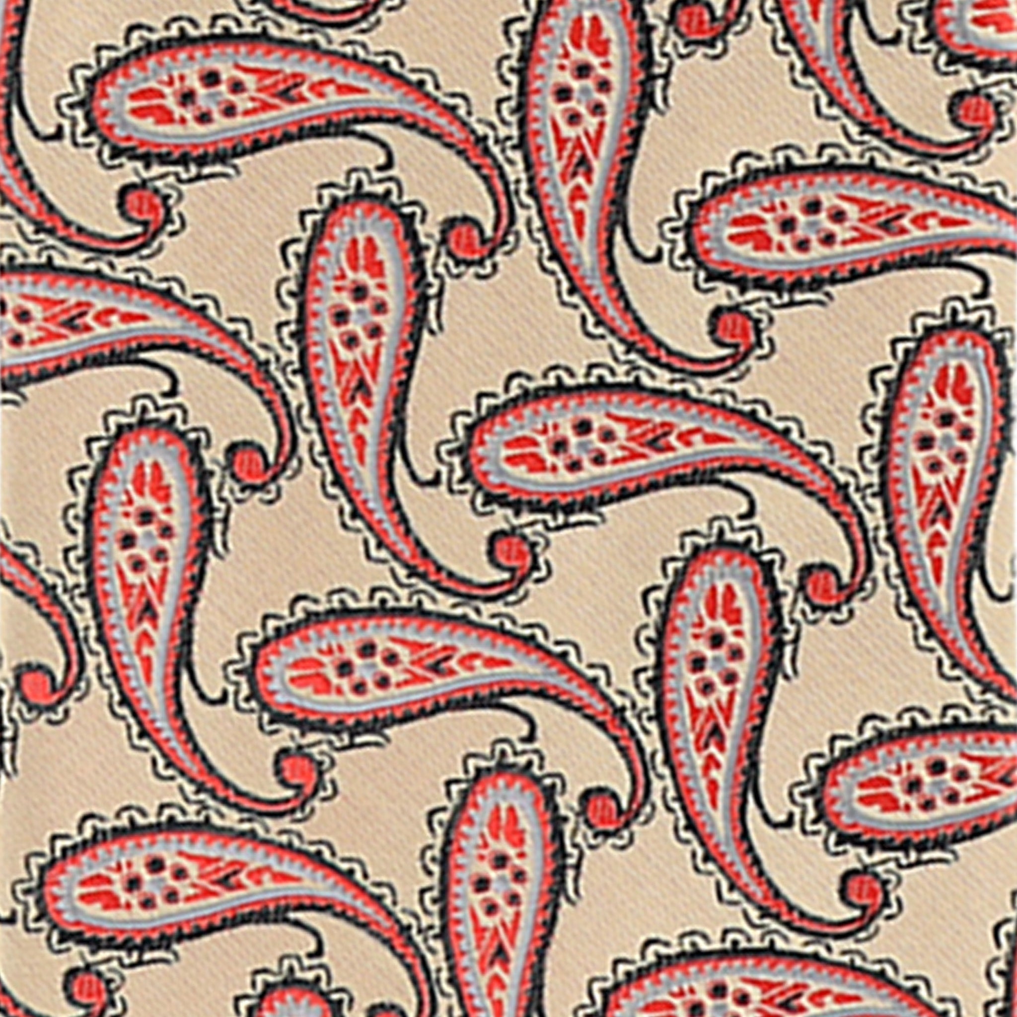 Vittorio Farina Men's Paisley Design Necktie & Pocket Square