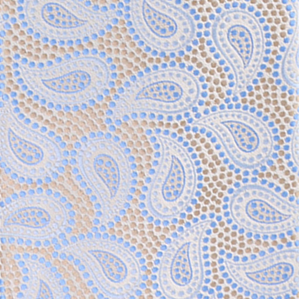 Vittorio Farina Men's Paisley Design Necktie & Pocket Square
