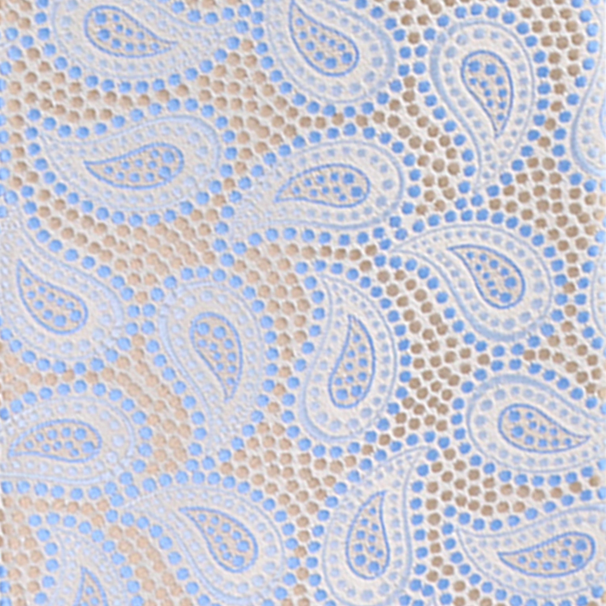 Vittorio Farina Men's Paisley Design Necktie & Pocket Square