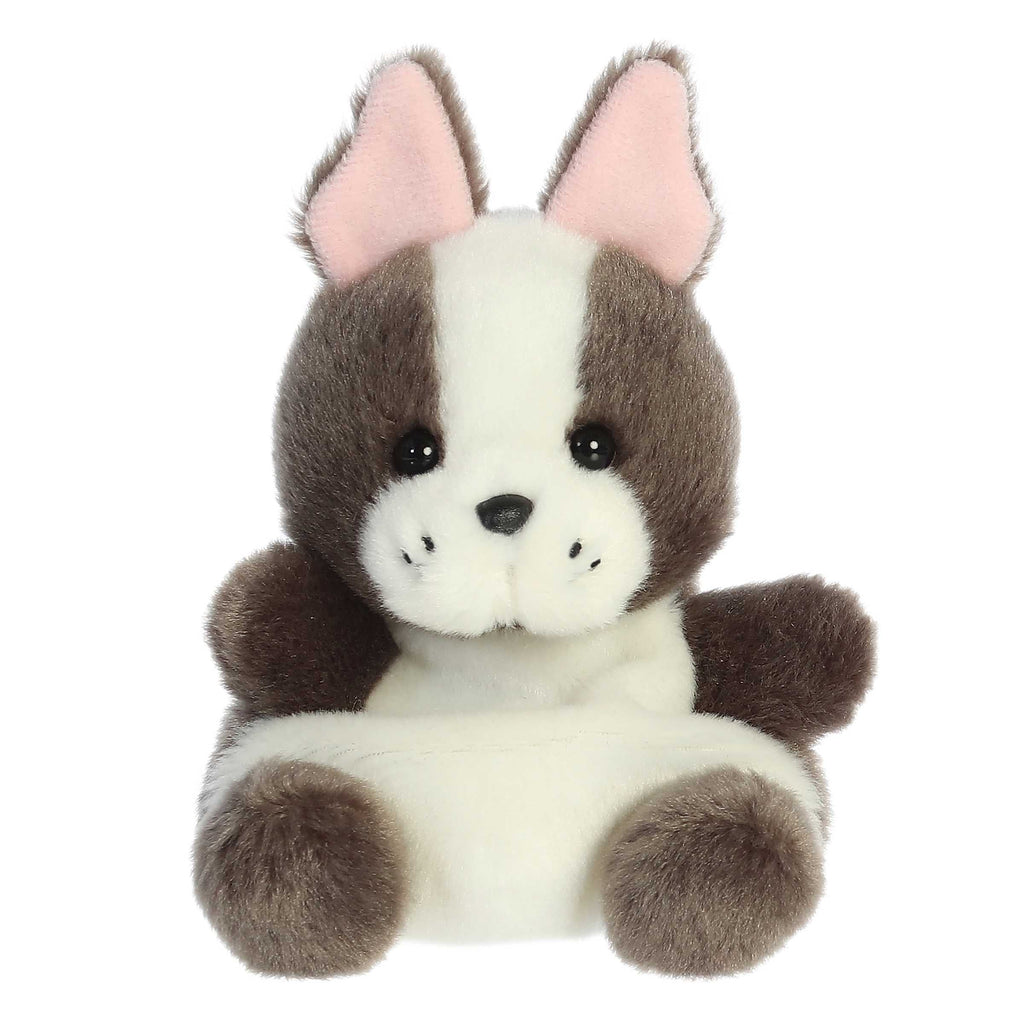 Beau French Bulldog  Palm Pal