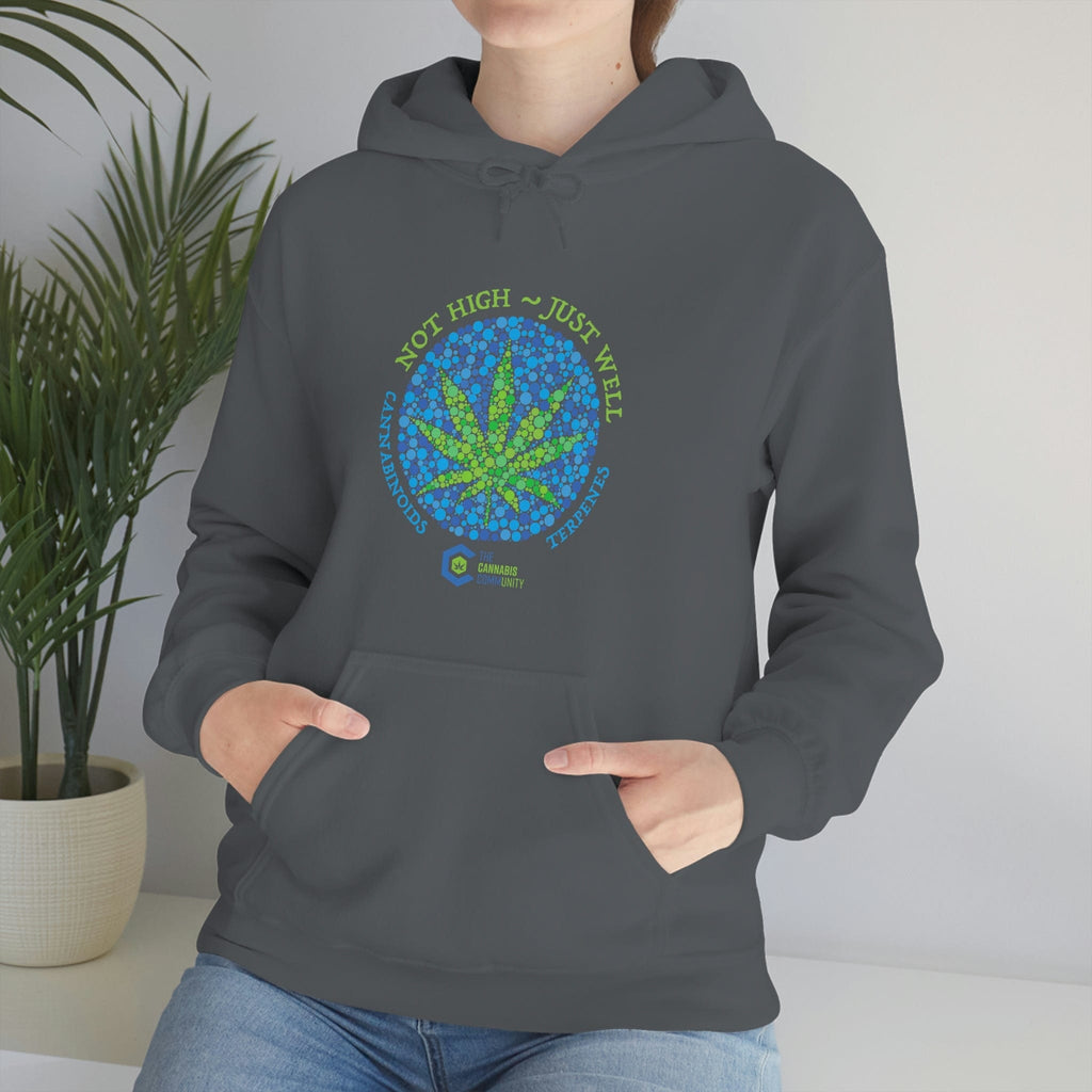 Not High, Just Well Cannabis Hoodies