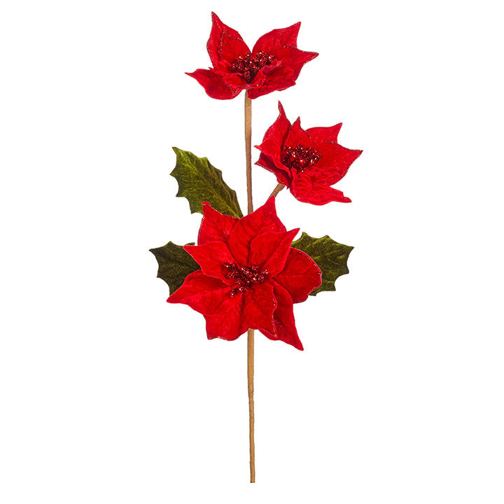 Pointsettia Spray