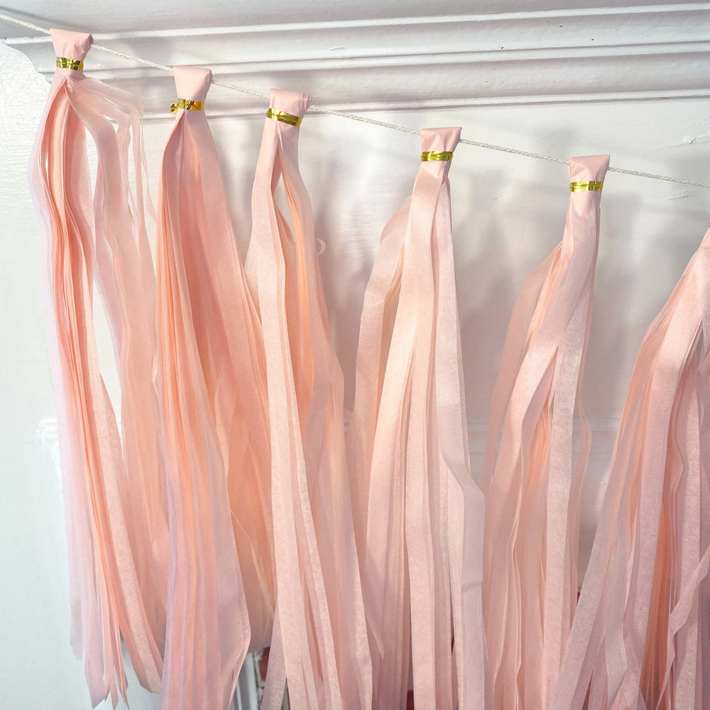 Pink Tassel Tail