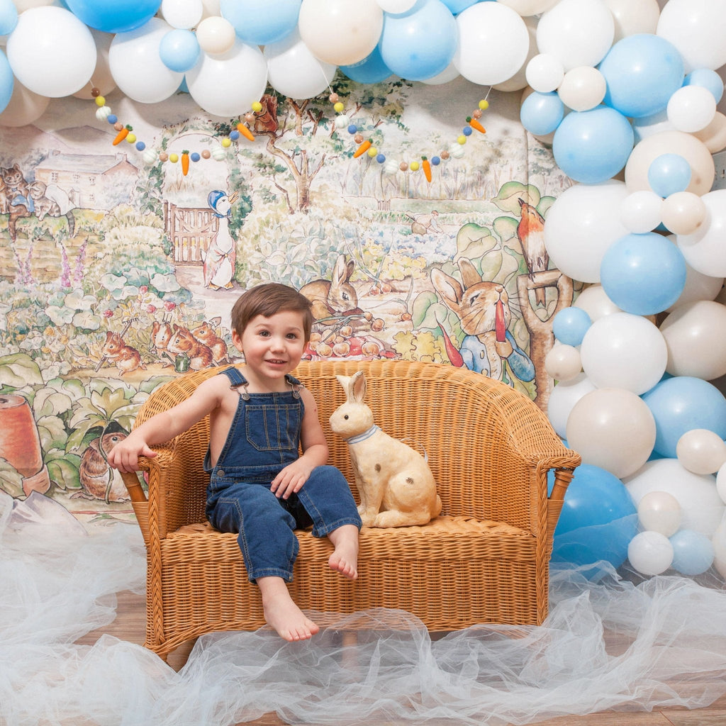 Peter Rabbit Pastel Blue and White Balloon Garland Kit