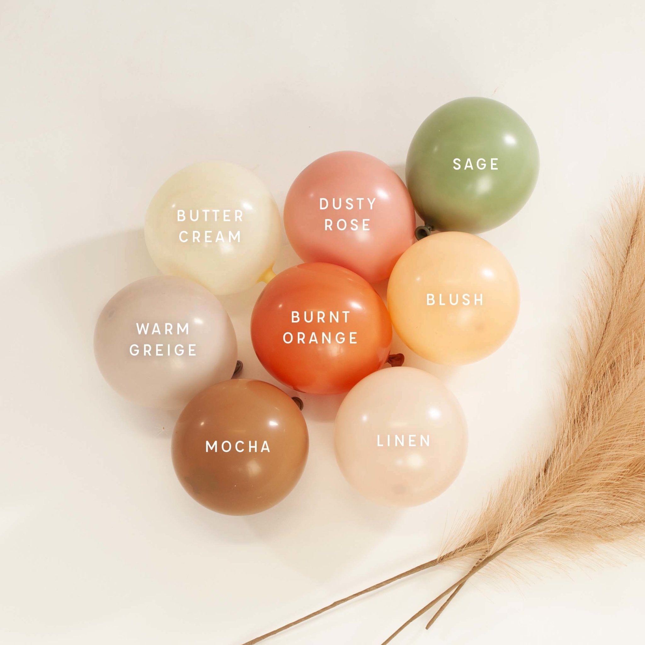 Premium Linen Latex Balloon Packs (5", 11”, 16”, 24”, and 36”)