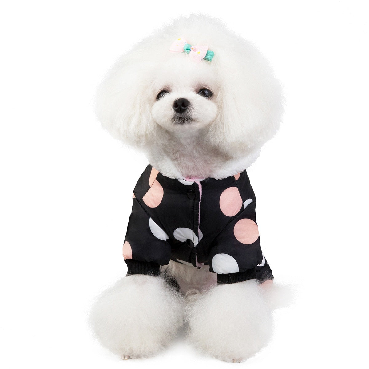 Big Polka Dot Snowsuit Jumpsuit
