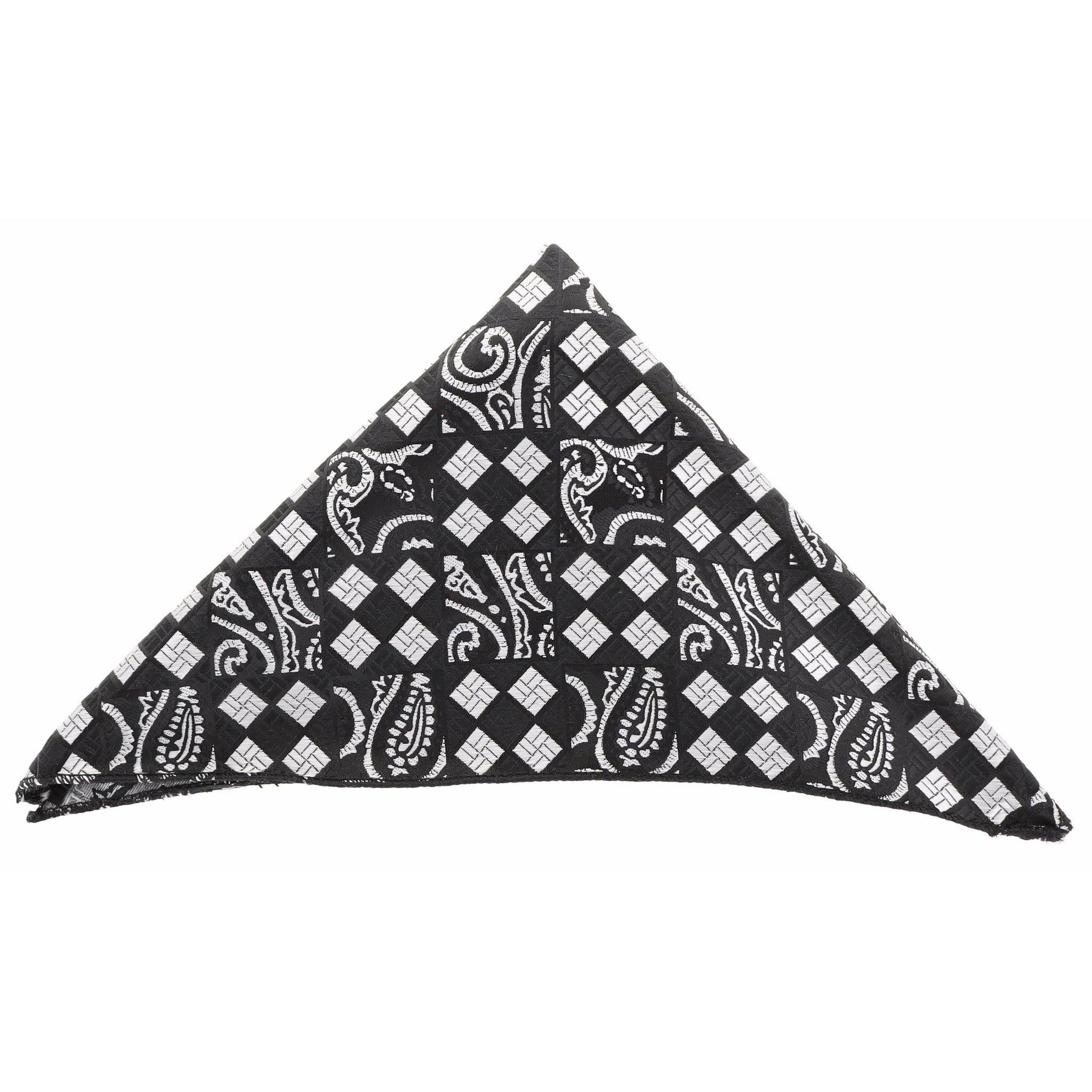Vittorio Farina Men's Paisley Design Microfiber Pocket Square