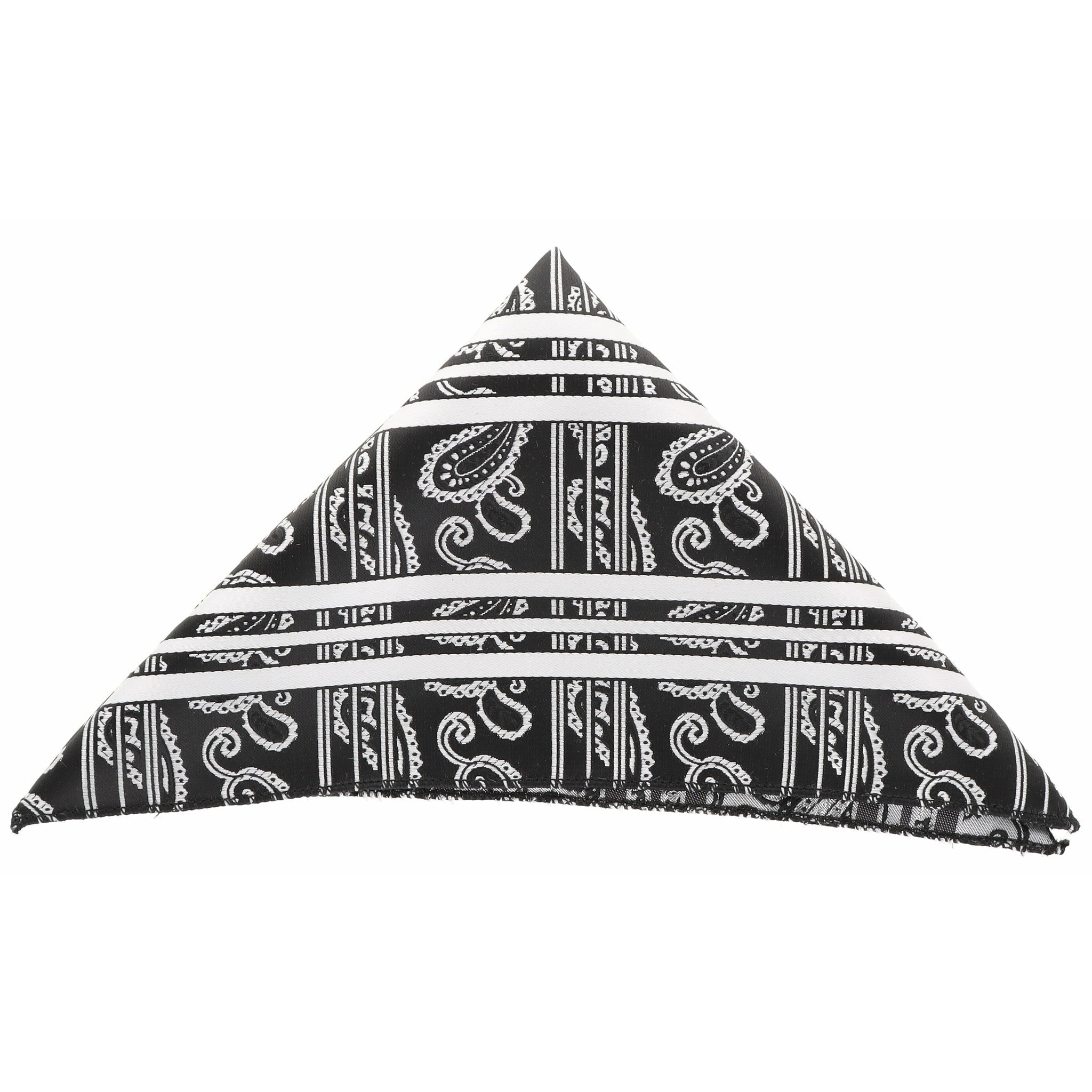 Vittorio Farina Men's Paisley Design Microfiber Pocket Square