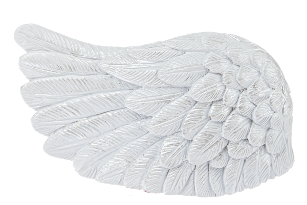 Angel Wing - I Am With You Always