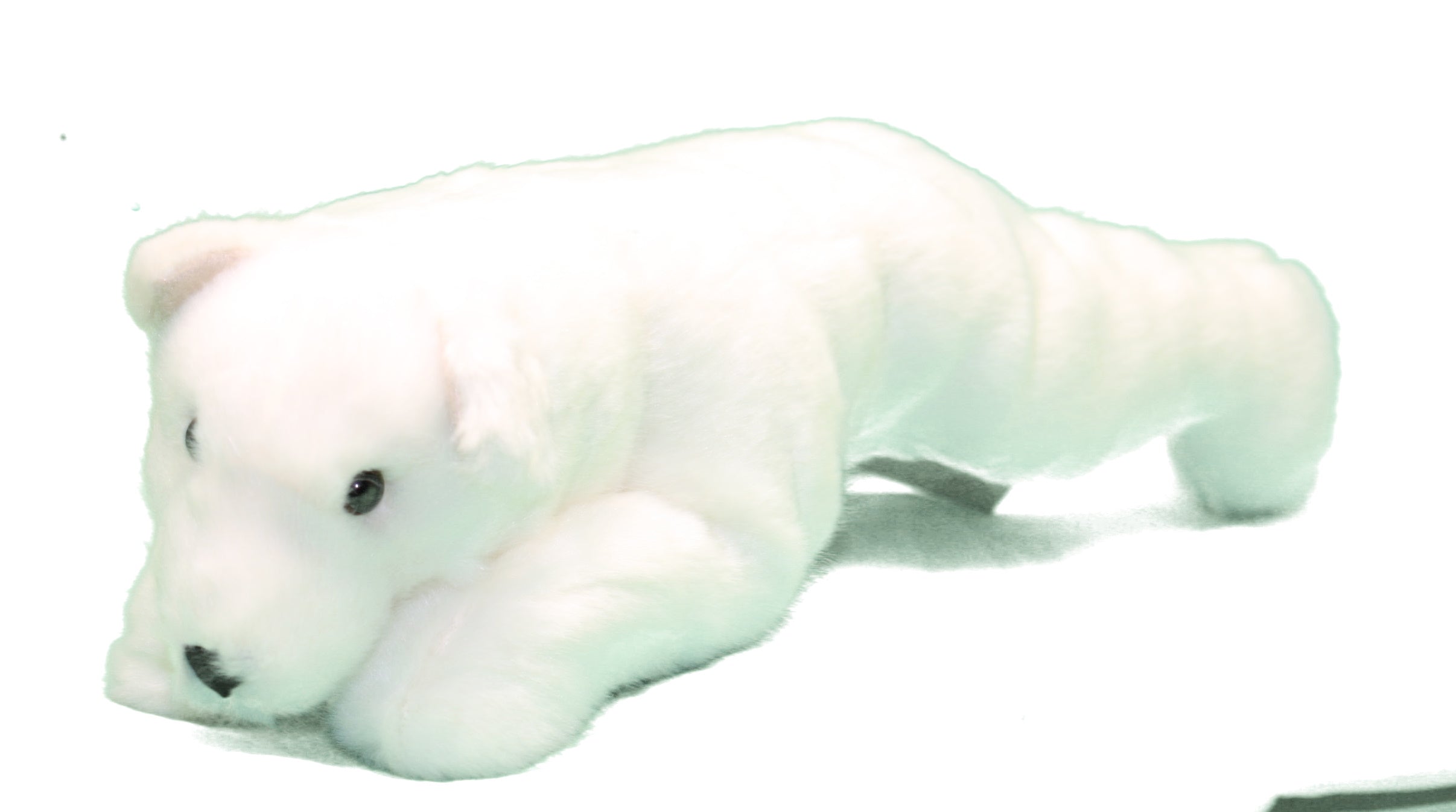 Polar Bear Hugs - White