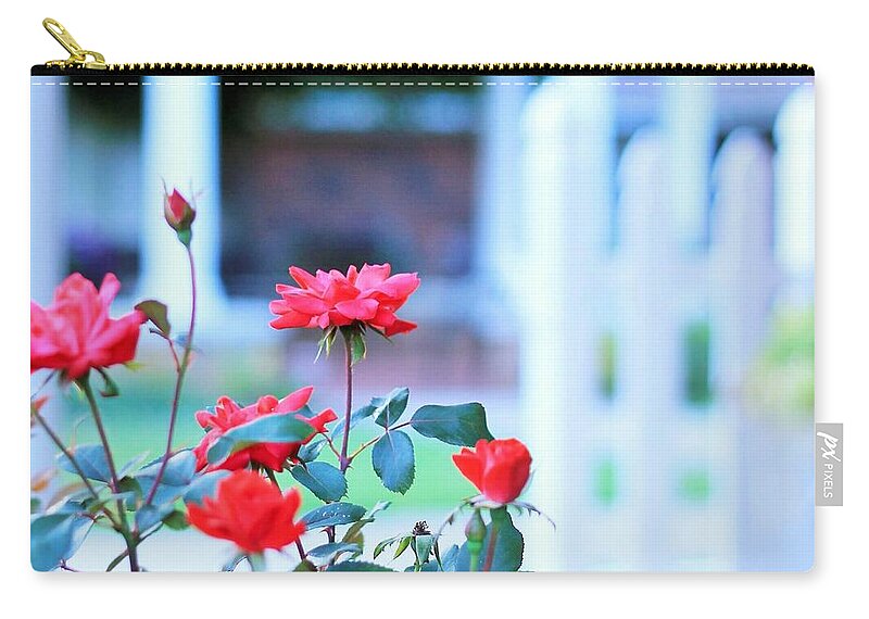 Red Flowers in Bloom - Zip Pouch