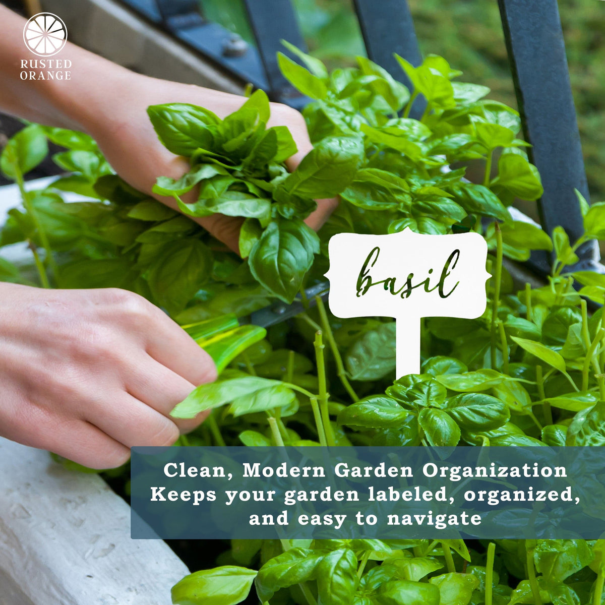 [COL] Window Garden Markers - Your Favorite 5 - Herb Garden Plant Identification Stakes