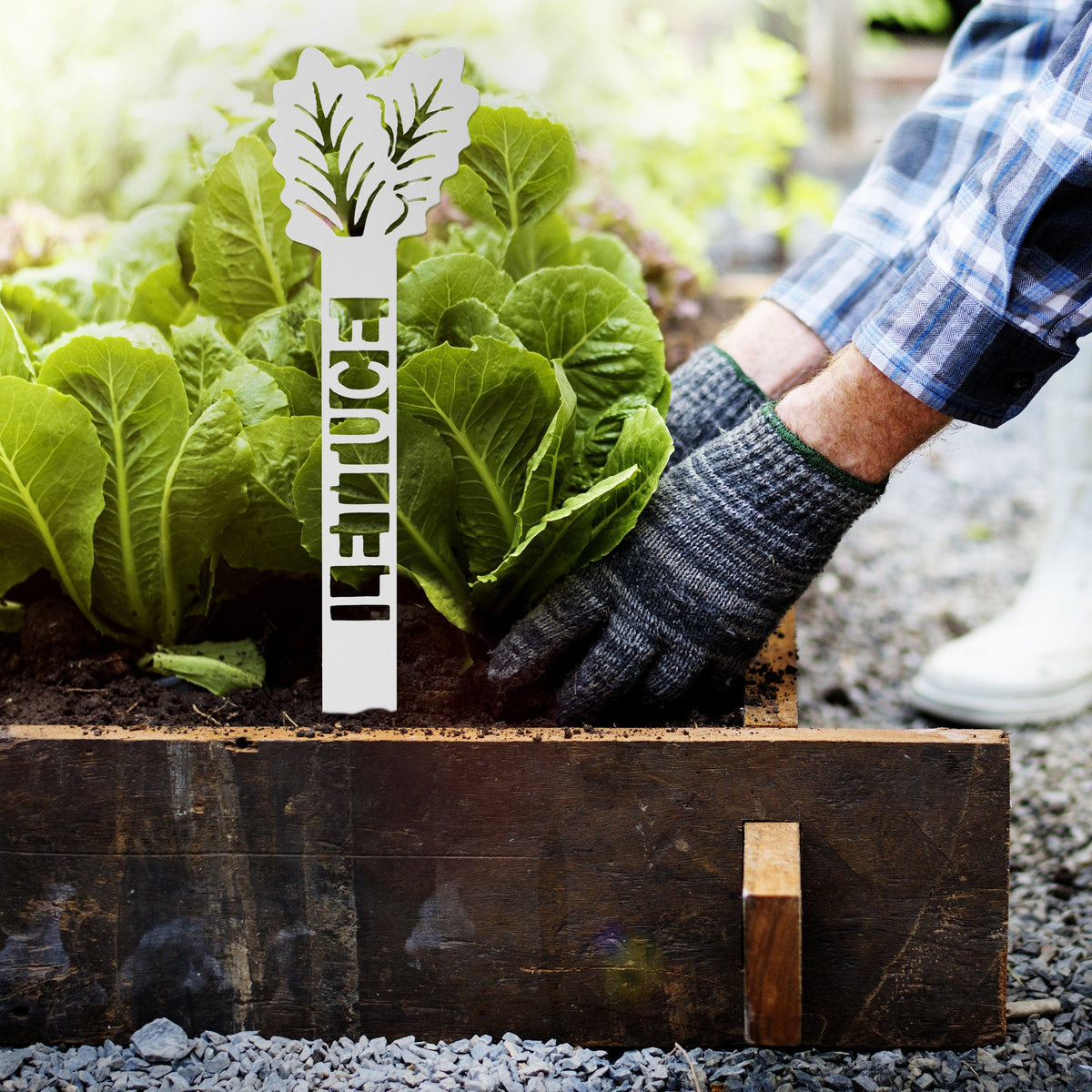 [COL] Green Garden Plant Stakes - Your Favorite 5 - Plant Labels Garden Markers