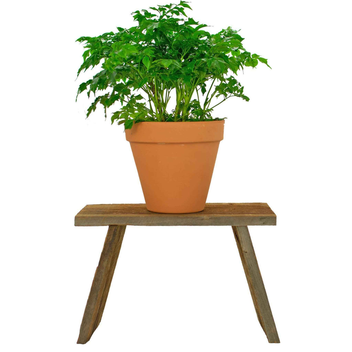 Rustic Redwood Build-Up End Table