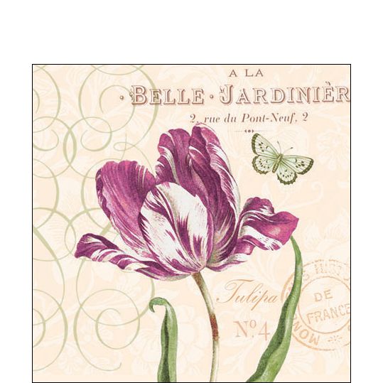 Paper Cocktail Napkin - Tulipa