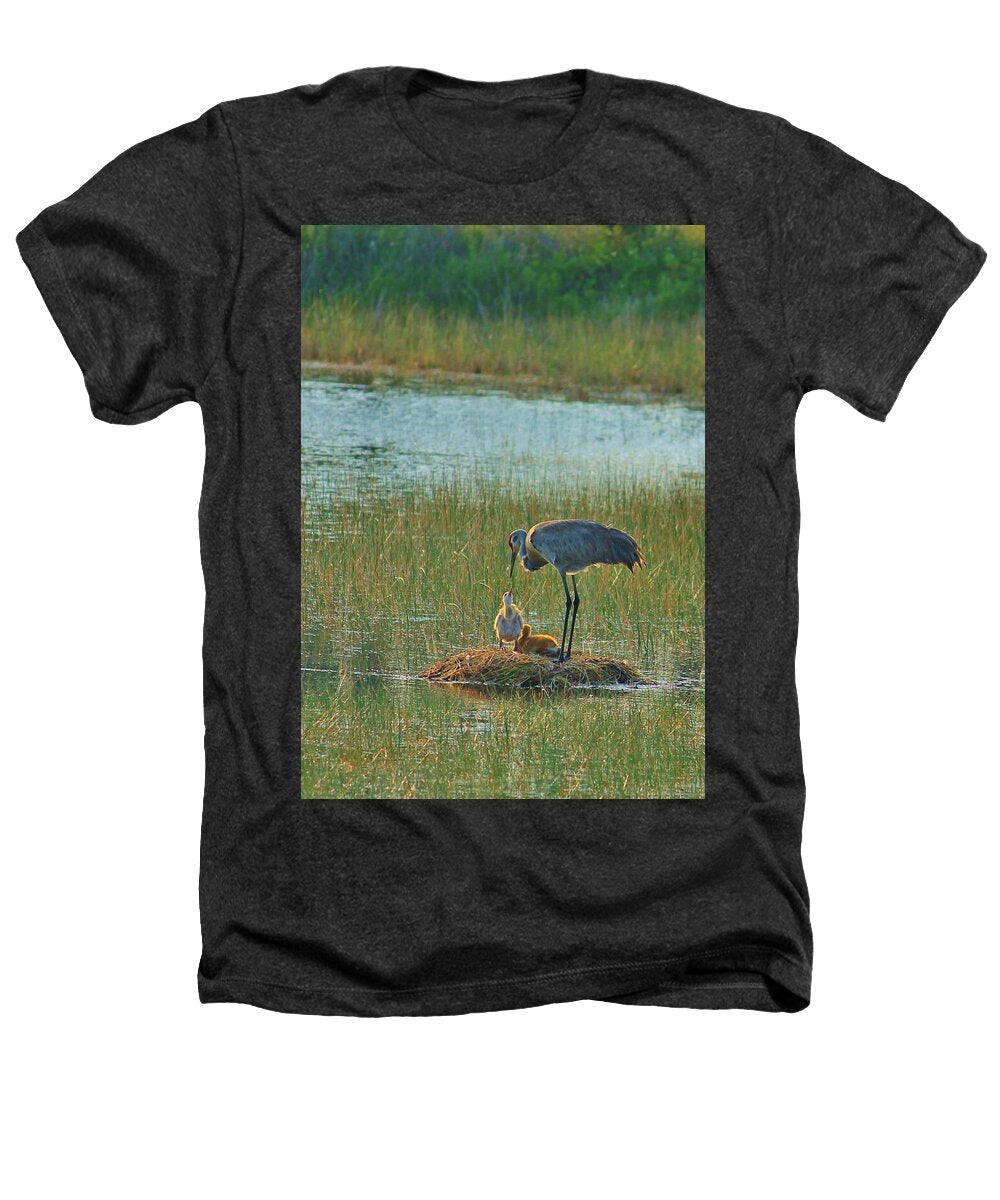 Sandhill Crane and Chicks in Malabar, Florida - Heathers T-Shirt