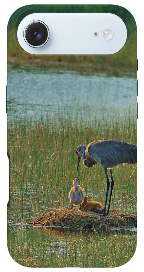 Sandhill Crane and Chicks in Malabar, Florida - Phone Case