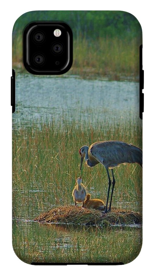 Sandhill Crane and Chicks in Malabar, Florida - Phone Case