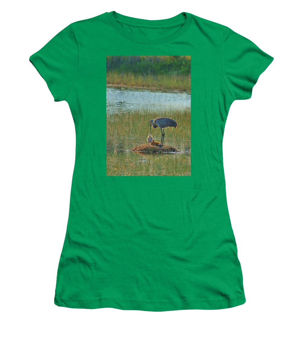Sandhill Crane and Chicks in Malabar, Florida - Women's T-Shirt