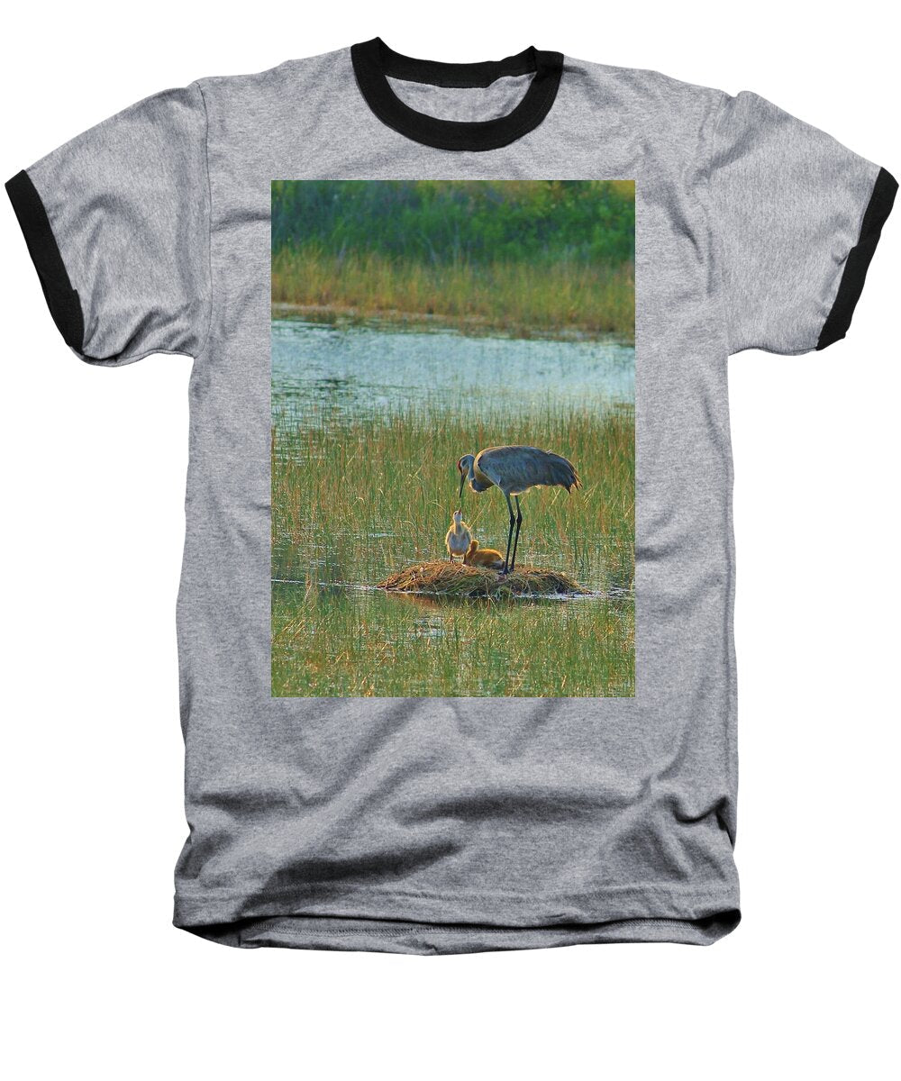 Sandhill Crane and Chicks in Malabar, Florida - Baseball T-Shirt