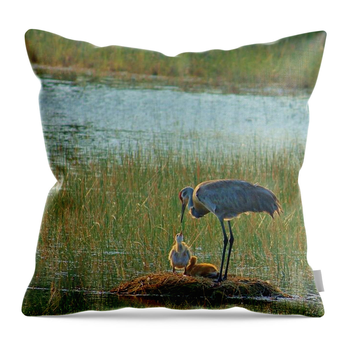 Sandhill Crane and Chicks in Malabar, Florida - Throw Pillow