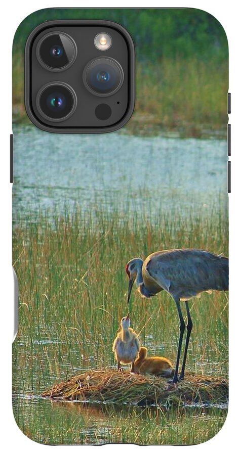 Sandhill Crane and Chicks in Malabar, Florida - Phone Case