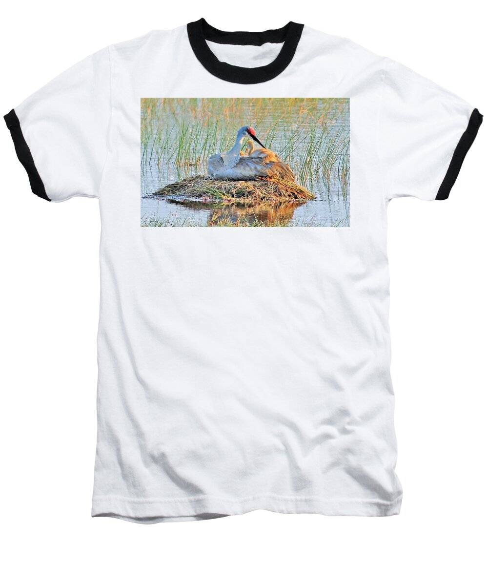 Sandhill Crane with Chicks Malabar Florida Baseball T-Shirt