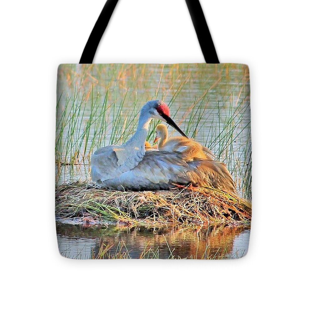 Sandhill Crane with Chicks Malabar Florida - Tote Bag