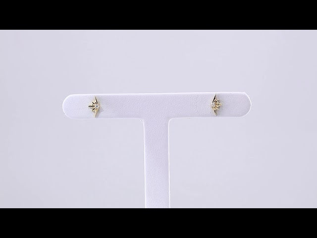 14K Yellow Gold .03 CTW Natural Diamond Starburst Earrings – image 3