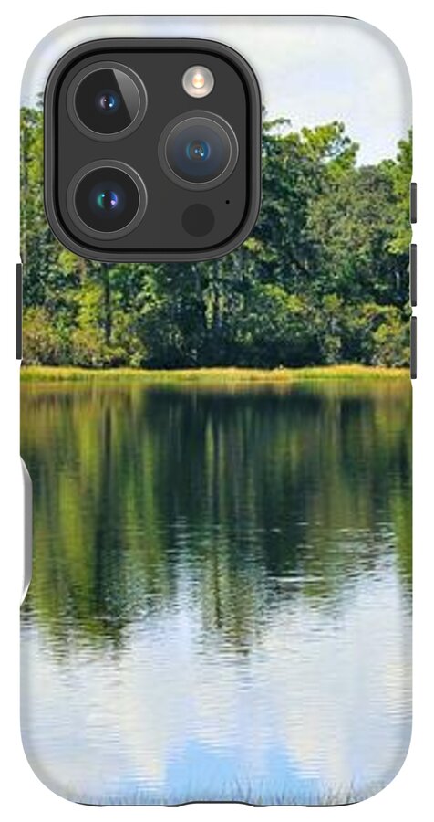 Serene Horse Shoe South Lake in Chuluota Florida - Phone Case