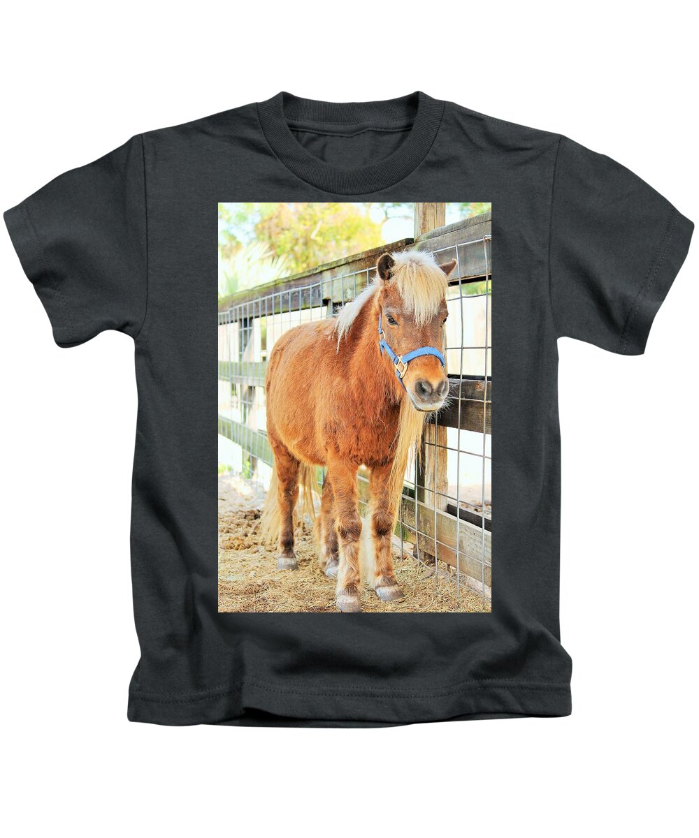 Shetland Pony in a Paddock - Kids T-Shirt