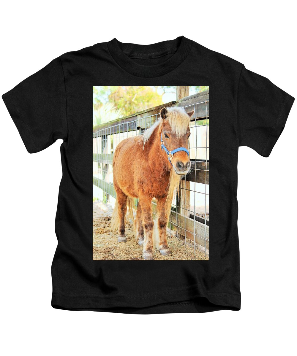Shetland Pony in a Paddock - Kids T-Shirt