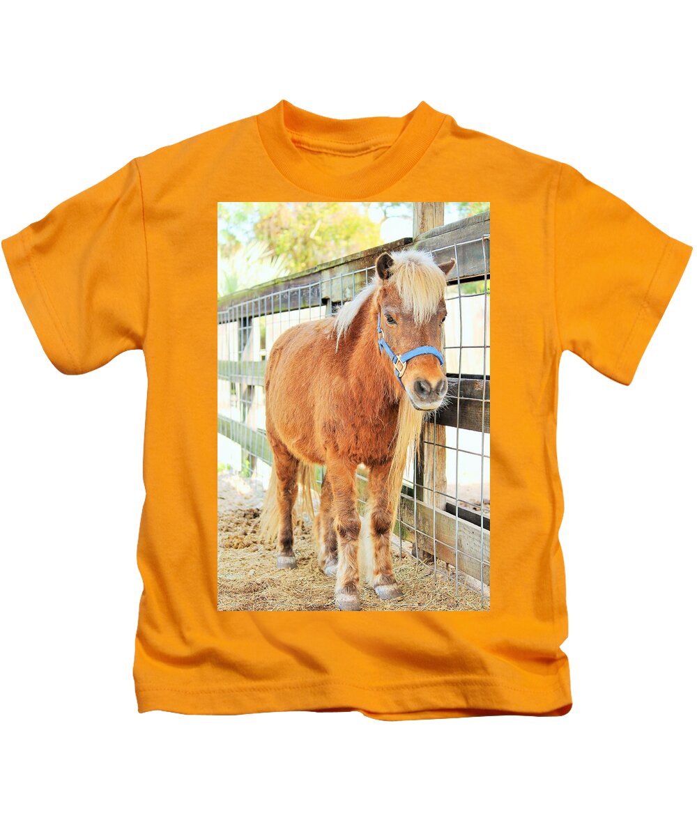Shetland Pony in a Paddock - Kids T-Shirt