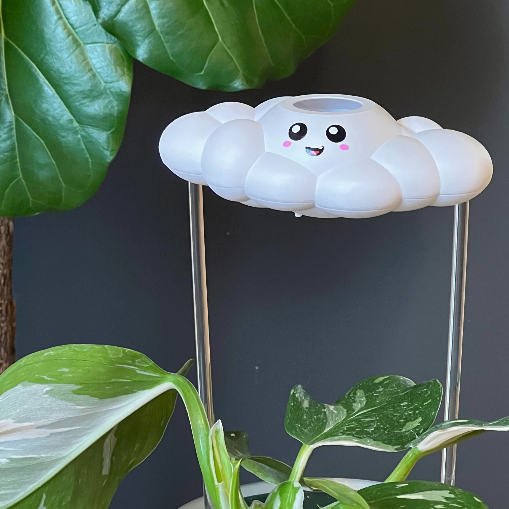 Skylar the Cloud