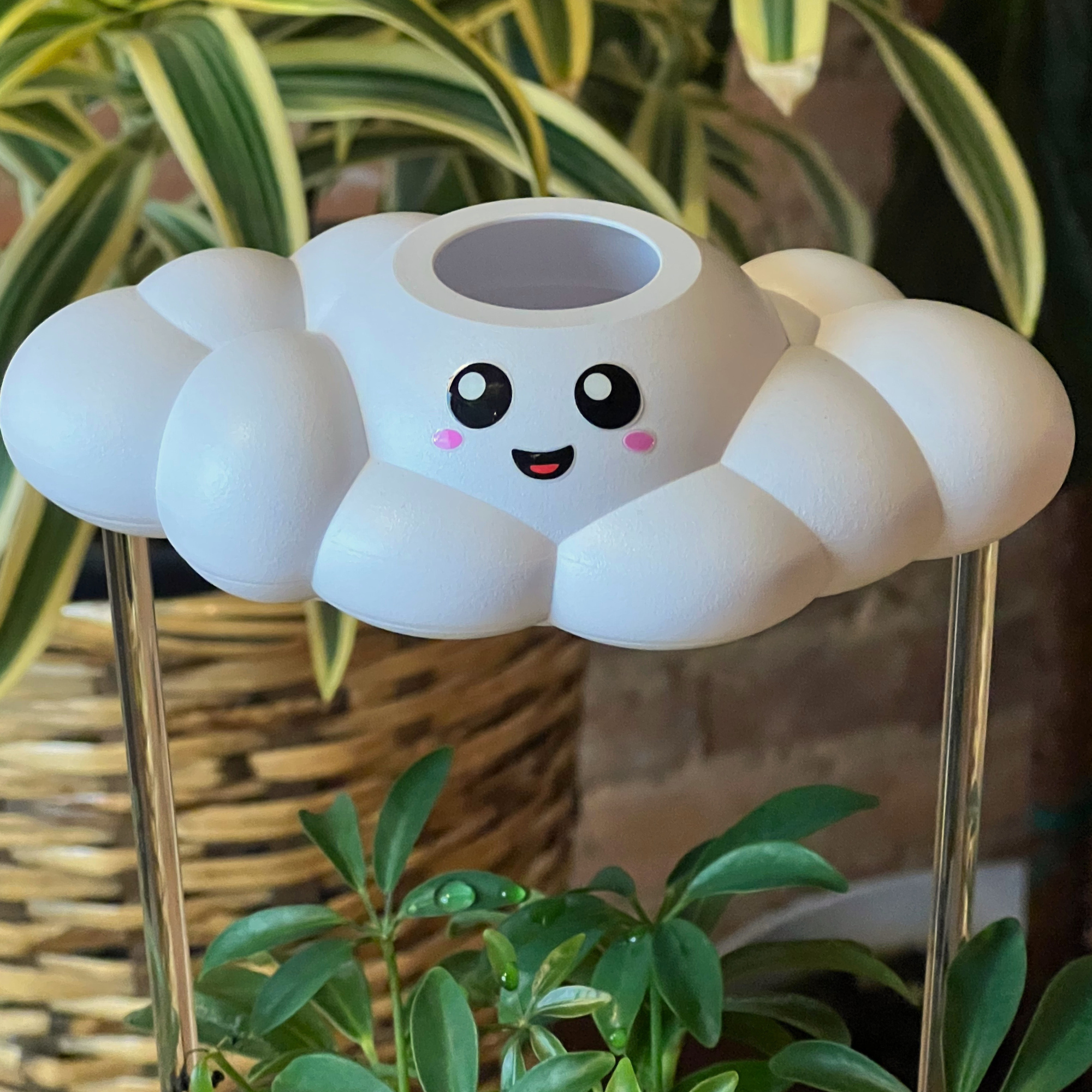 Skylar the Cloud