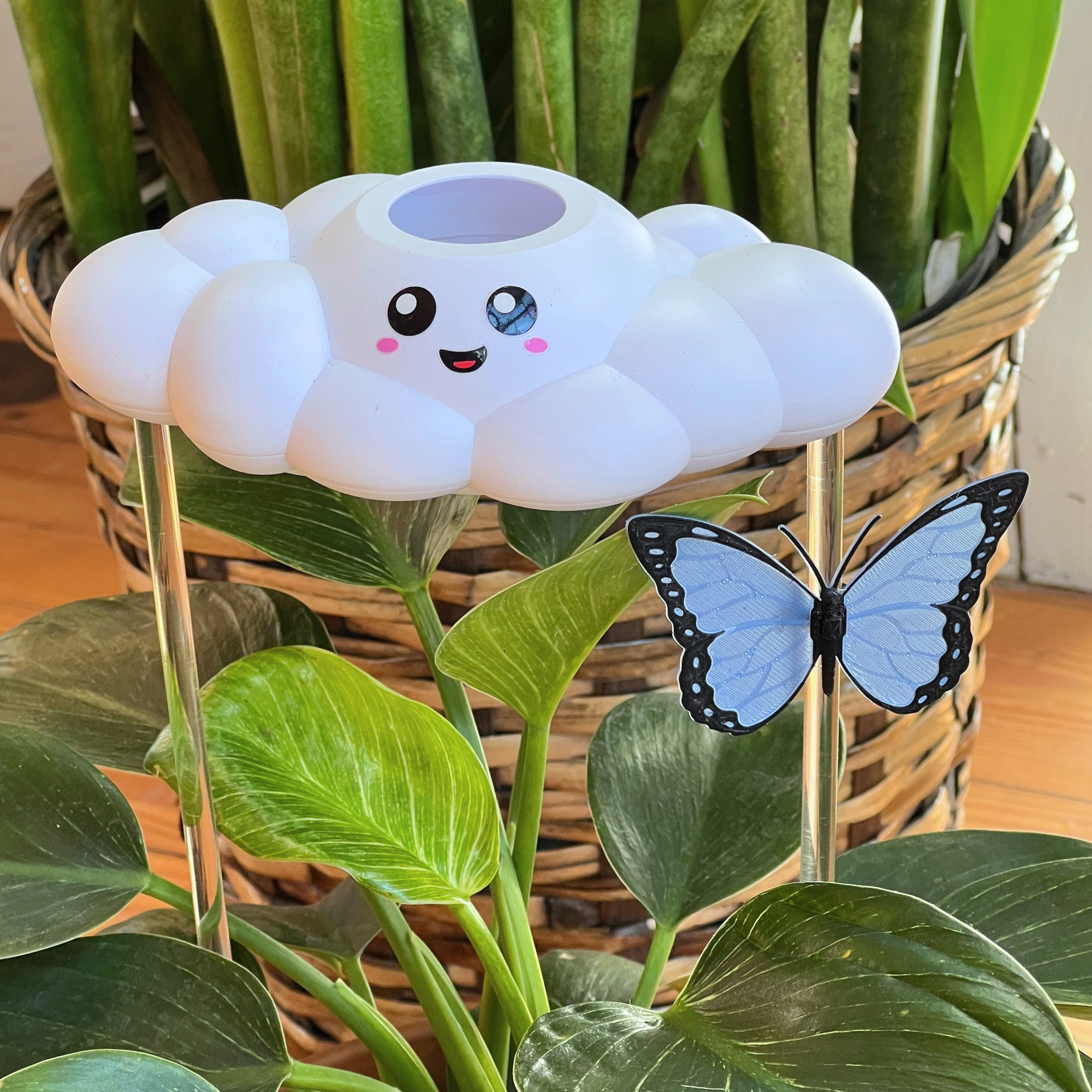 Skylar the Cloud