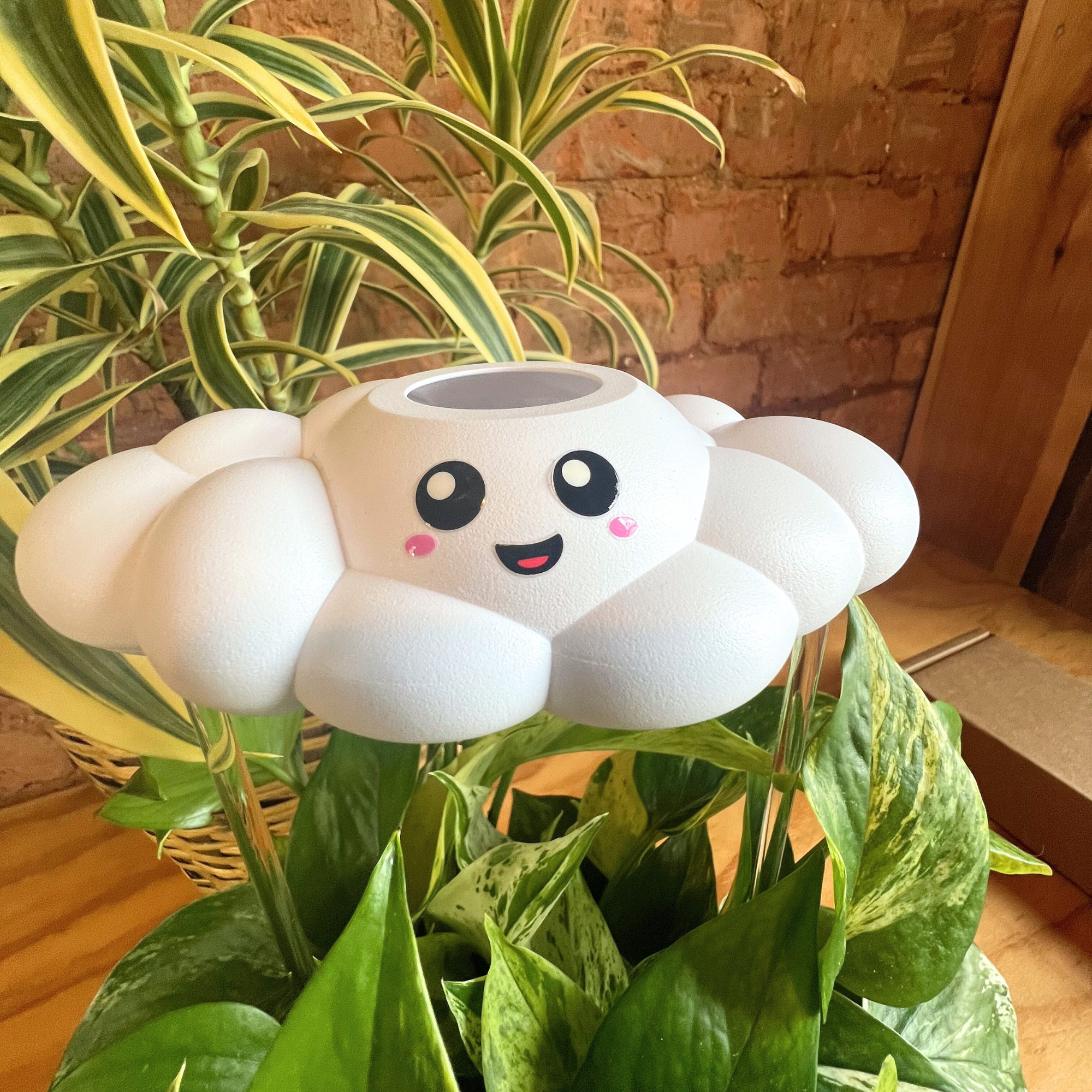 Skylar the Cloud