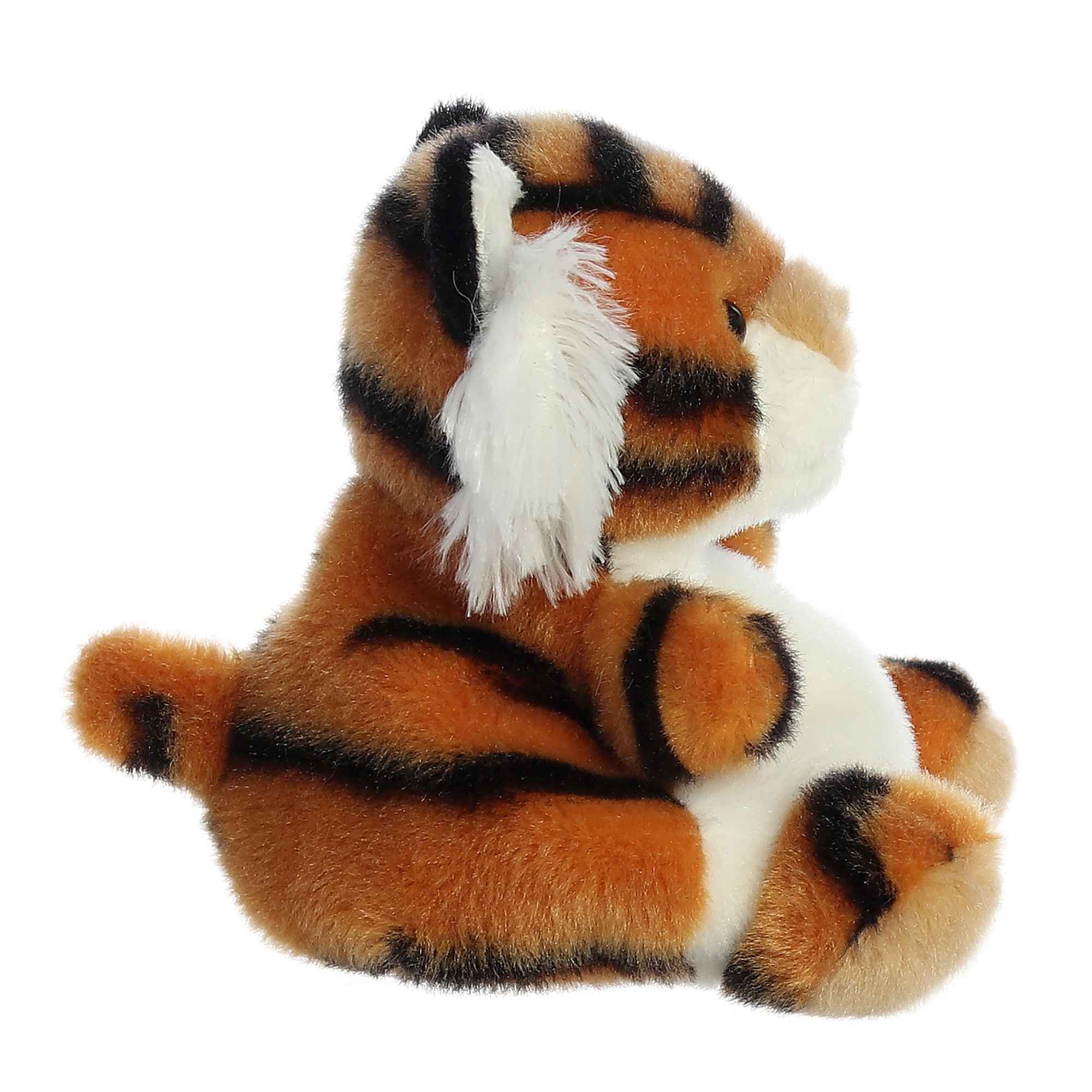 Indy Tiger  Palm Pal