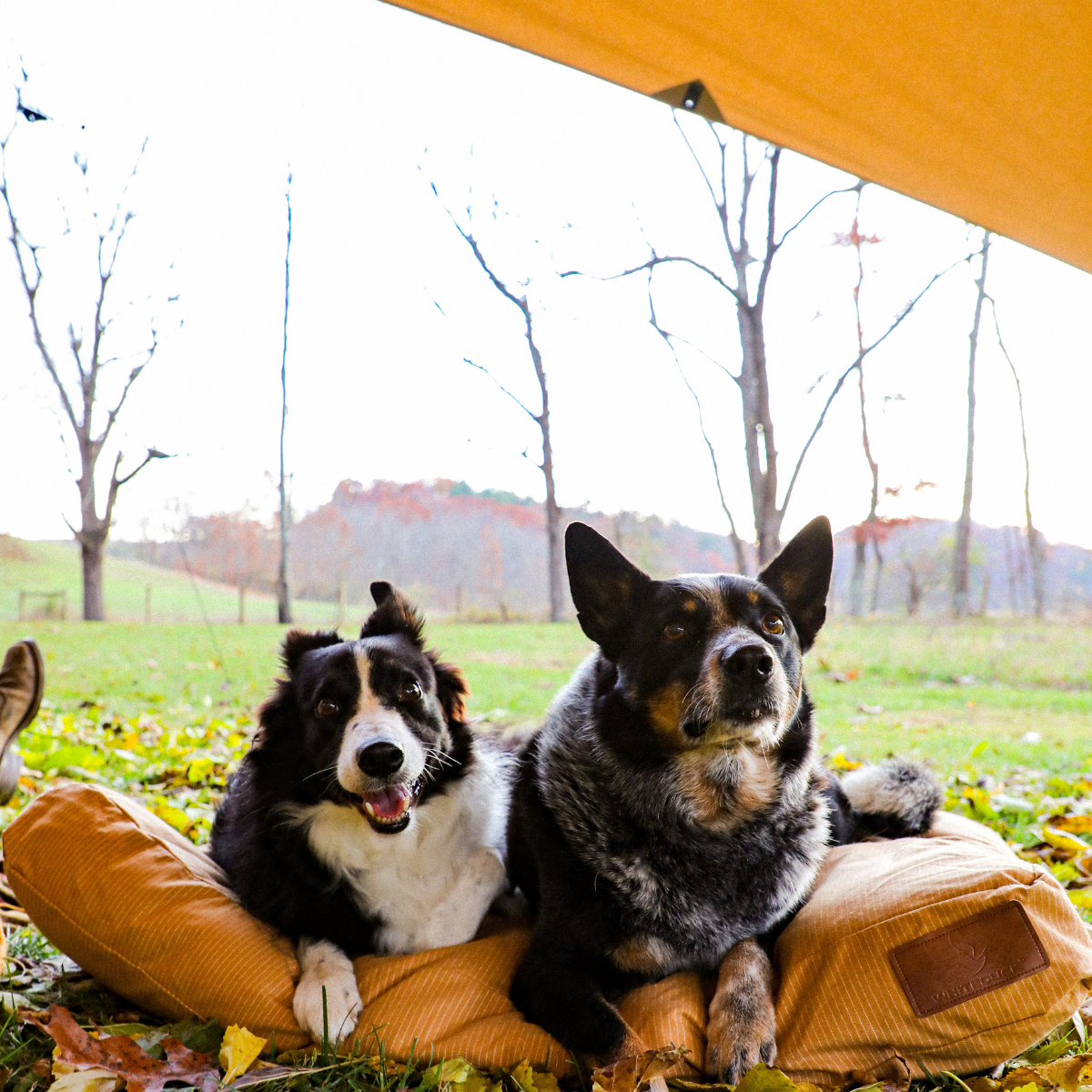 Sunshade Tarp 260