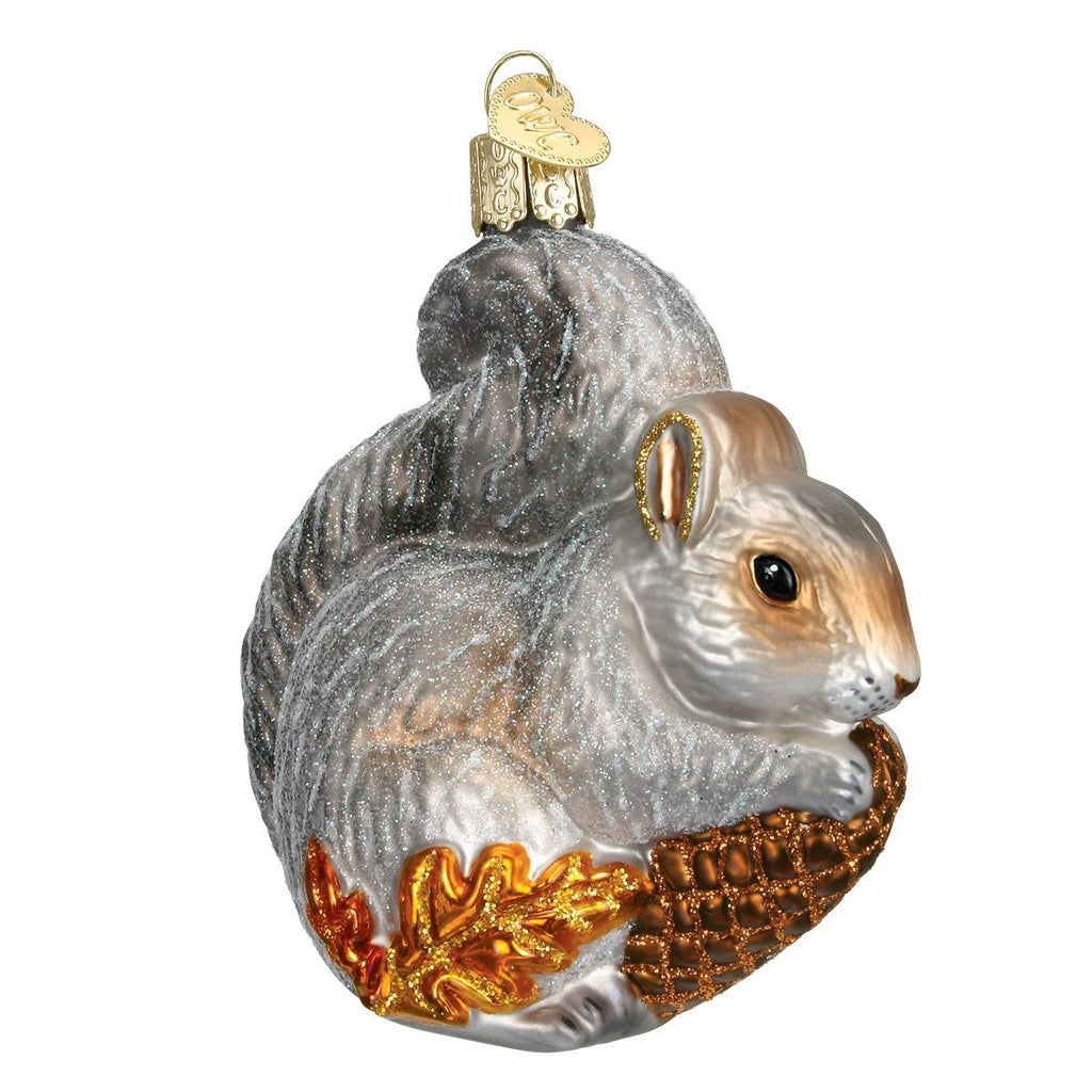 Old World Hungry Squirrel