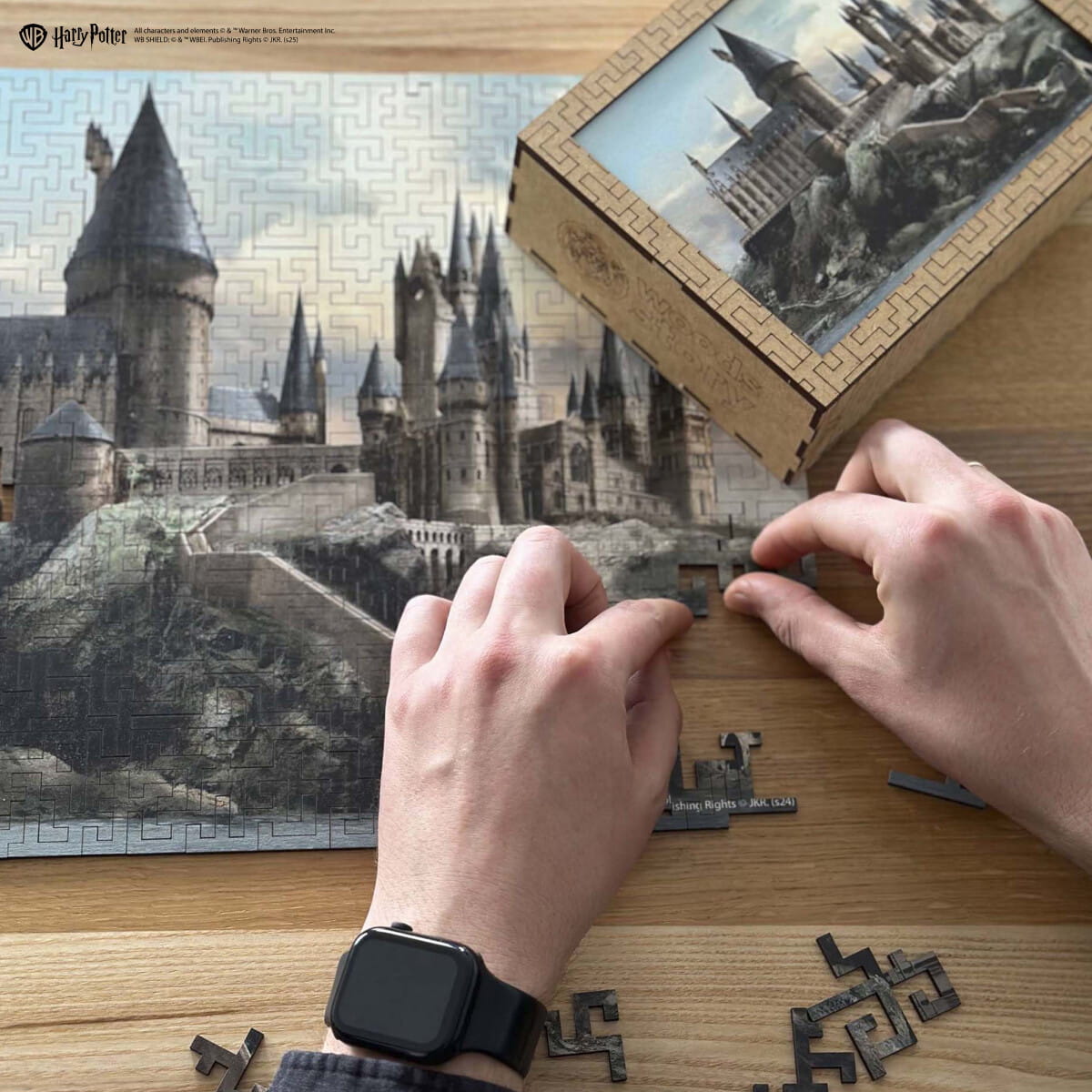 Wooden Maze Puzzle Harry Potter™ Hogwarts Castle